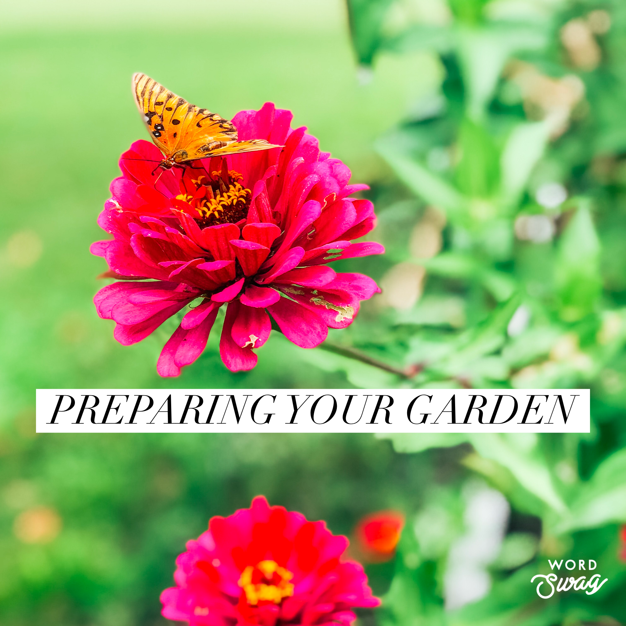 Garden Preparation