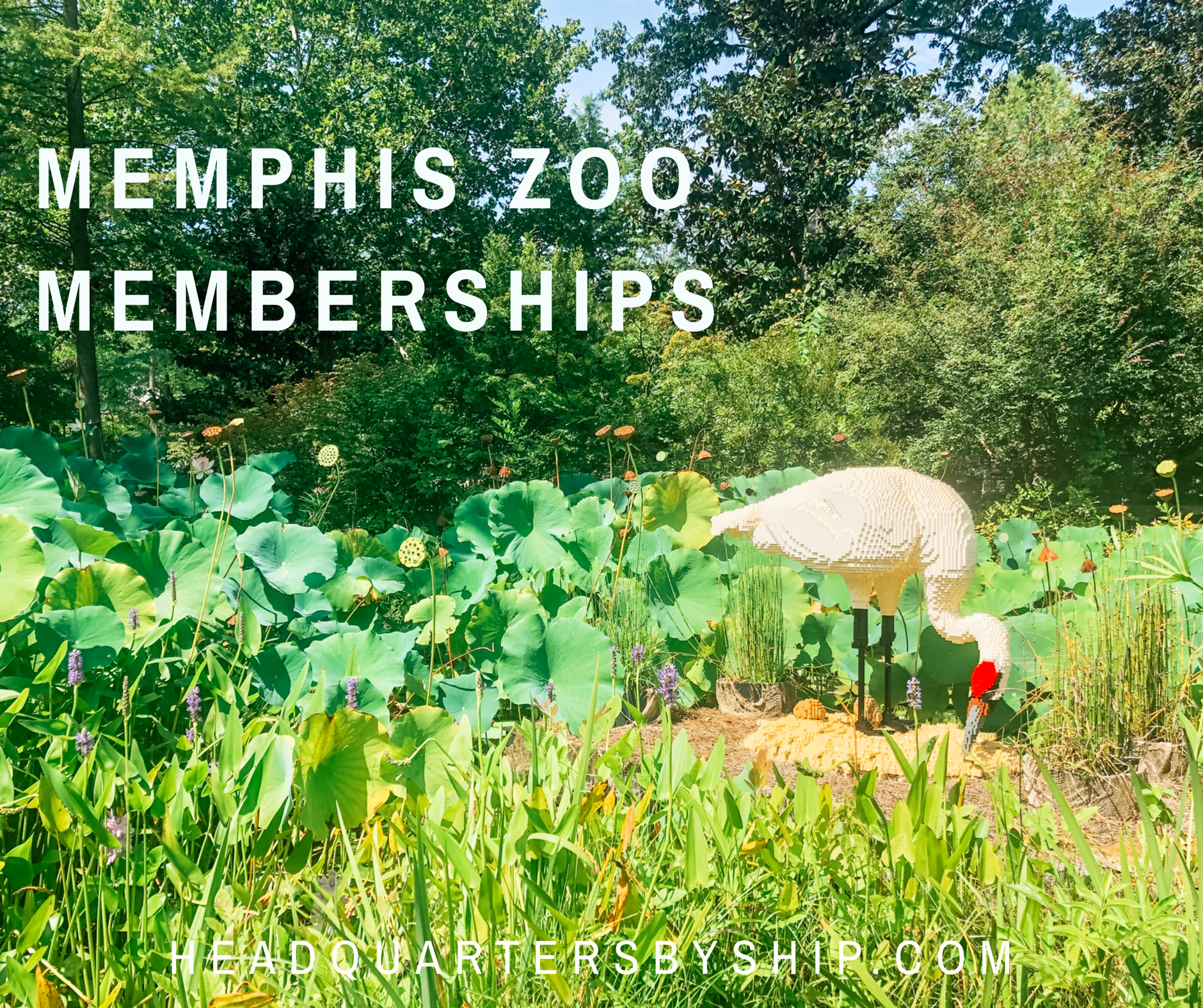 Memphis Zoo