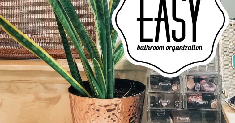 Organization Tips | Easy Bathroom Organizer