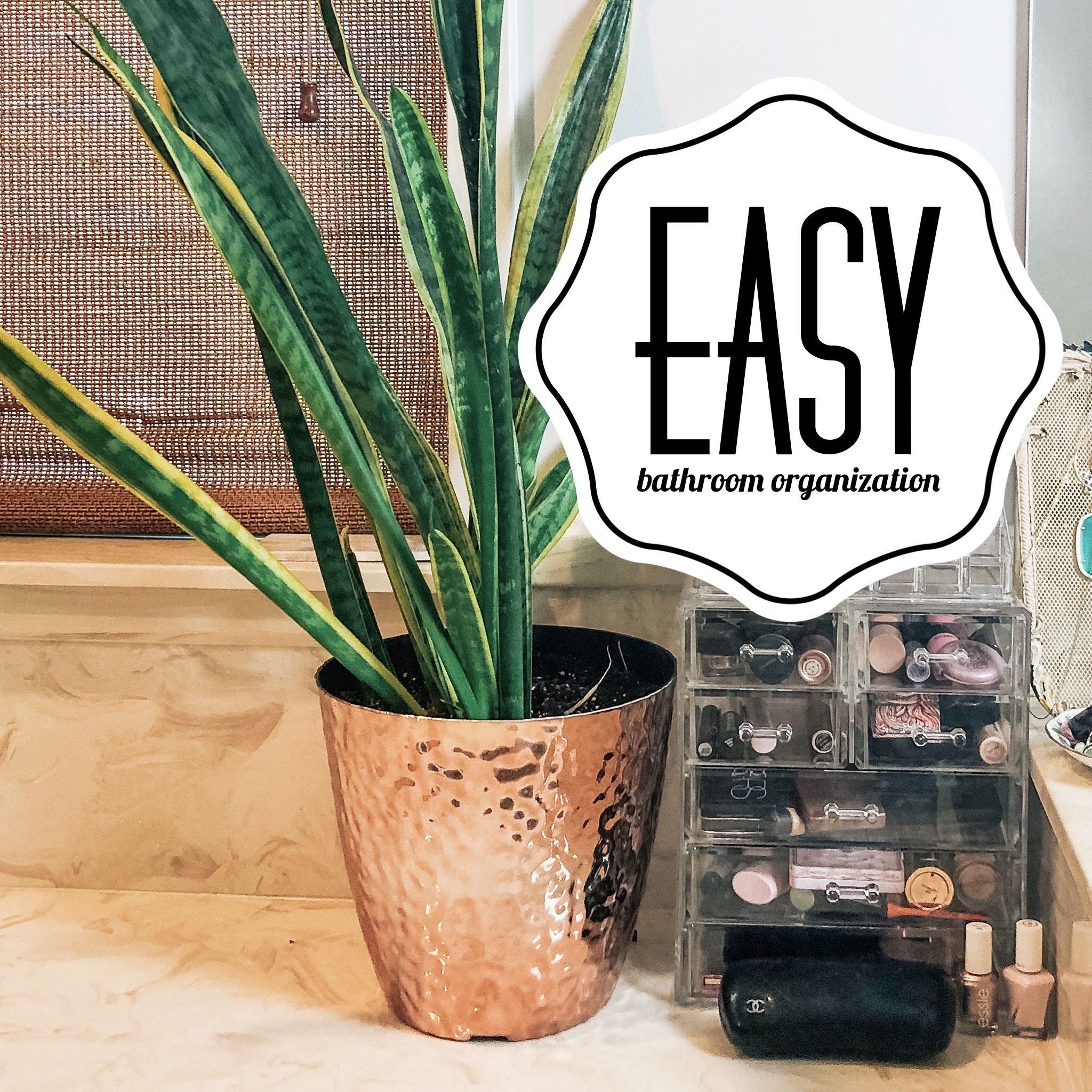 Organization Tips | Easy Bathroom Organizer