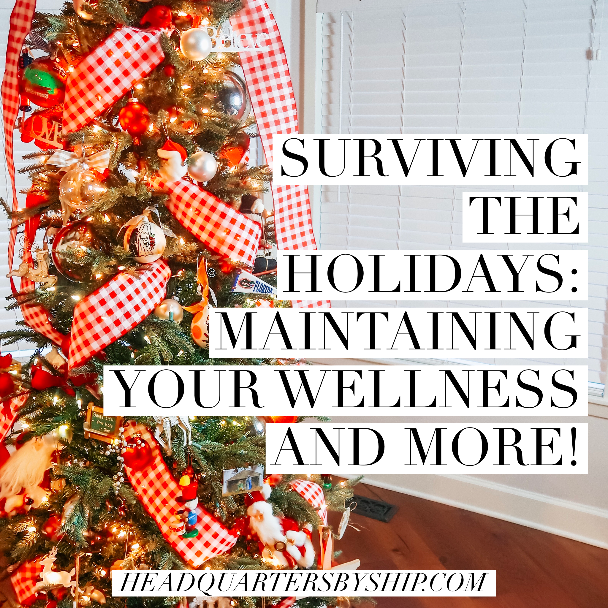 Surviving the Holidays | Maintaining Your Wellness and More!