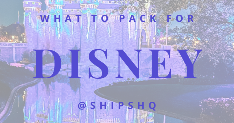 What to Pack For Your Next Trip to Disney With Kids